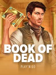 Book of Dead Slot Evaluation & Free Trial